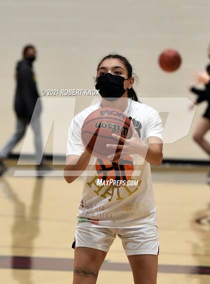 Thumbnail 2 in Basha @ Hamilton photogallery.