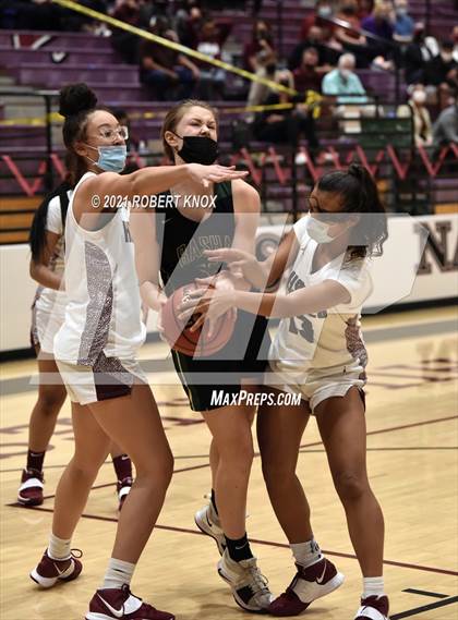 Thumbnail 3 in Basha @ Hamilton photogallery.