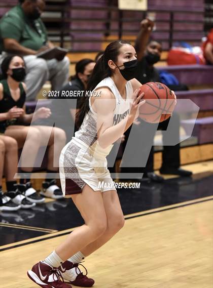Thumbnail 1 in Basha @ Hamilton photogallery.