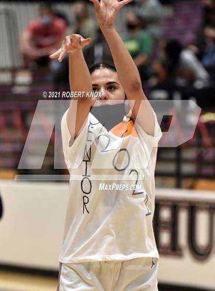 Thumbnail 2 in Basha @ Hamilton photogallery.