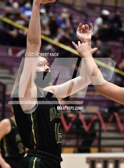 Thumbnail 3 in Basha @ Hamilton photogallery.