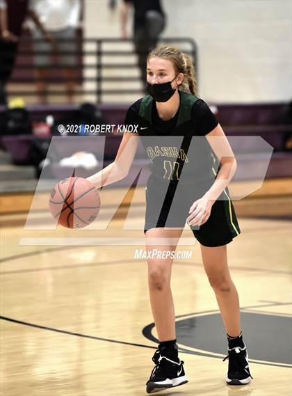 Thumbnail 1 in Basha @ Hamilton photogallery.