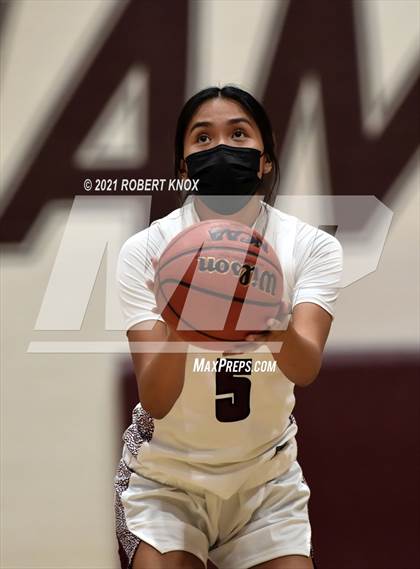 Thumbnail 2 in Basha @ Hamilton photogallery.