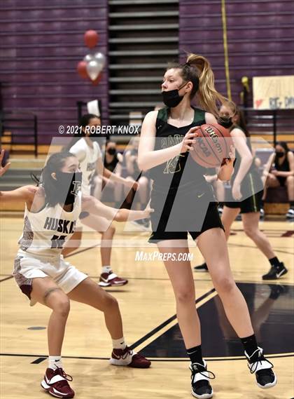 Thumbnail 2 in Basha @ Hamilton photogallery.