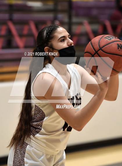 Thumbnail 3 in Basha @ Hamilton photogallery.