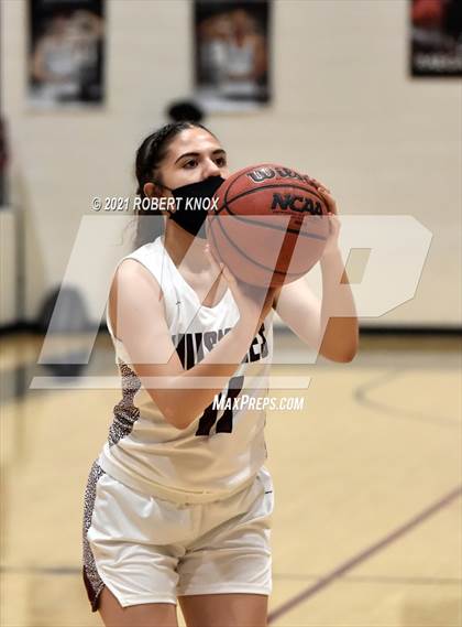 Thumbnail 1 in Basha @ Hamilton photogallery.