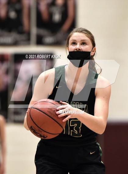 Thumbnail 2 in Basha @ Hamilton photogallery.