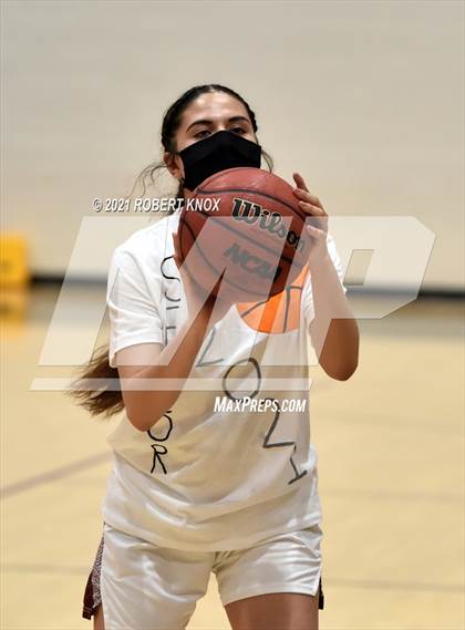 Thumbnail 2 in Basha @ Hamilton photogallery.