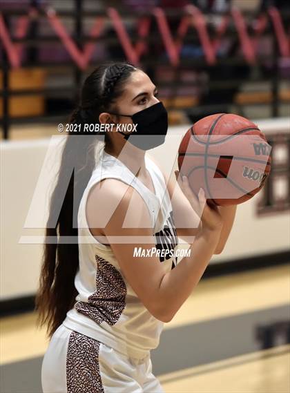 Thumbnail 1 in Basha @ Hamilton photogallery.