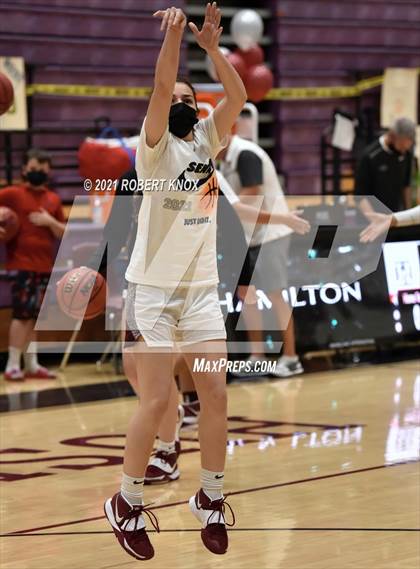 Thumbnail 2 in Basha @ Hamilton photogallery.