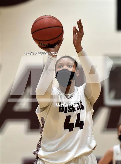 Thumbnail 1 in Basha @ Hamilton photogallery.