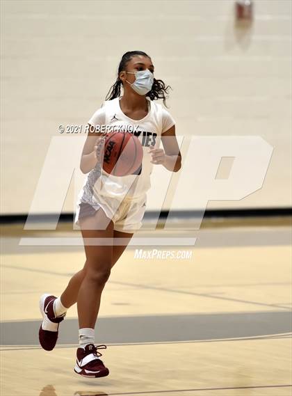 Thumbnail 3 in Basha @ Hamilton photogallery.