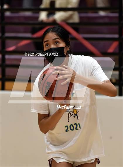 Thumbnail 3 in Basha @ Hamilton photogallery.