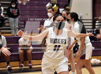 Thumbnail 2 in Basha @ Hamilton photogallery.