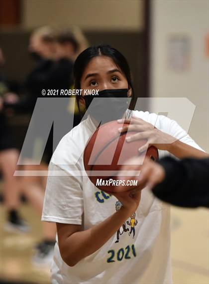 Thumbnail 3 in Basha @ Hamilton photogallery.
