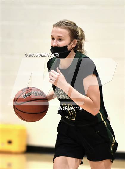 Thumbnail 3 in Basha @ Hamilton photogallery.