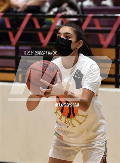 Thumbnail 2 in Basha @ Hamilton photogallery.