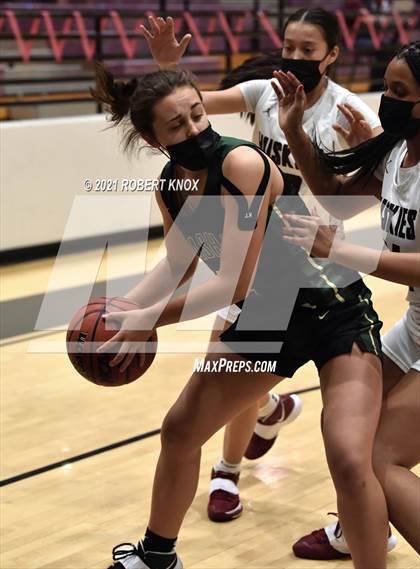 Thumbnail 1 in Basha @ Hamilton photogallery.