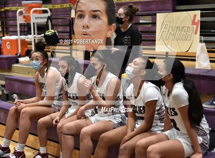 Thumbnail 2 in Basha @ Hamilton photogallery.