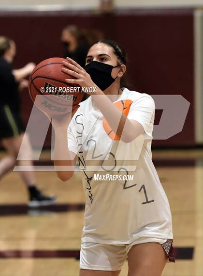 Thumbnail 3 in Basha @ Hamilton photogallery.