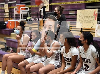 Thumbnail 3 in Basha @ Hamilton photogallery.