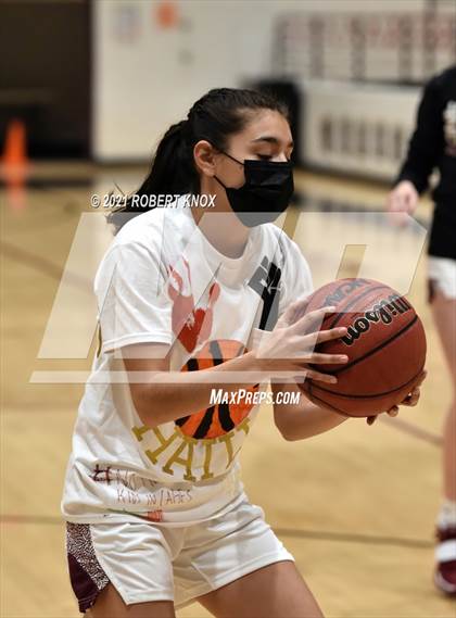 Thumbnail 1 in Basha @ Hamilton photogallery.