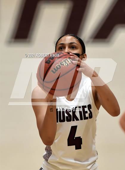 Thumbnail 3 in Basha @ Hamilton photogallery.