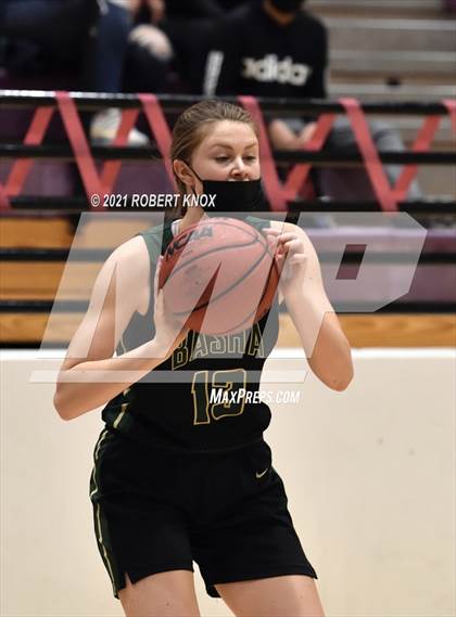 Thumbnail 2 in Basha @ Hamilton photogallery.