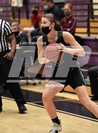 Thumbnail 2 in Basha @ Hamilton photogallery.
