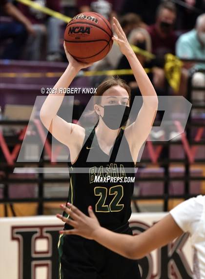 Thumbnail 1 in Basha @ Hamilton photogallery.