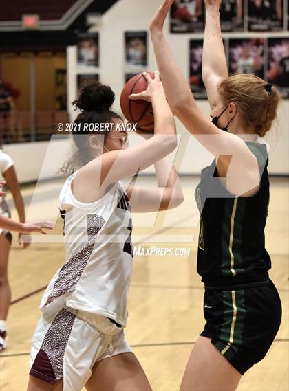 Thumbnail 2 in Basha @ Hamilton photogallery.