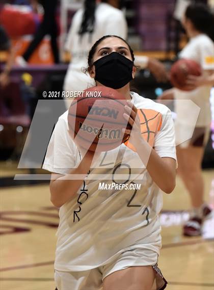 Thumbnail 2 in Basha @ Hamilton photogallery.
