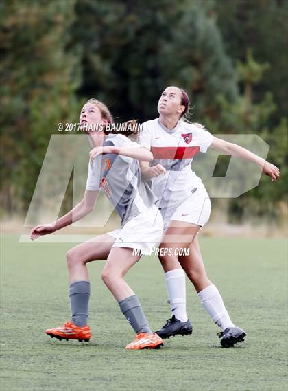 Thumbnail 2 in Douglas @ Truckee photogallery.