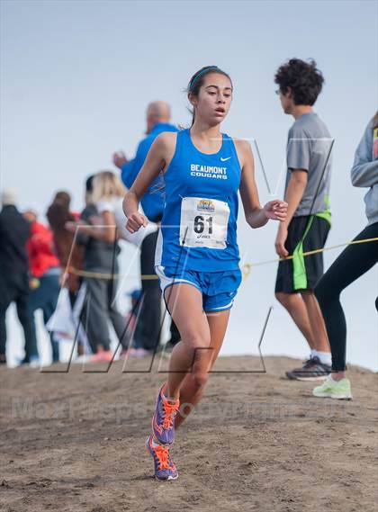 Thumbnail 2 in CIF SS Cross Country Championships (Girls D2) photogallery.