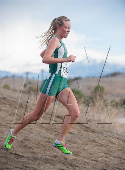 Thumbnail 2 in CIF SS Cross Country Championships (Girls D2) photogallery.
