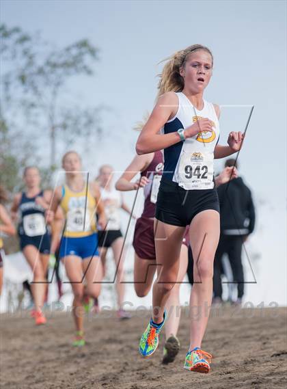 Thumbnail 1 in CIF SS Cross Country Championships (Girls D2) photogallery.