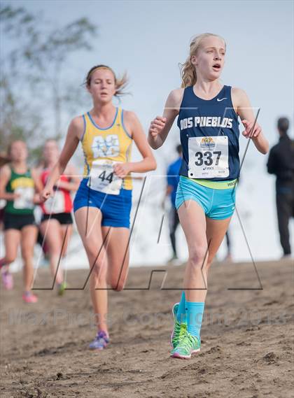 Thumbnail 3 in CIF SS Cross Country Championships (Girls D2) photogallery.