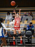 Photo from the gallery "University @ Branson"