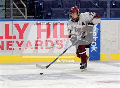 Thumbnail 2 in Canisius @ St. Joseph's Collegiate Institute (WNYHSCHL Large School Final) photogallery.