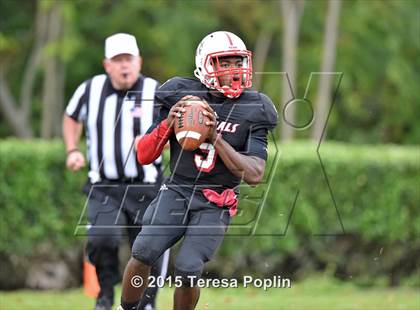 Thumbnail 1 in Mauldin @ Wade Hampton photogallery.