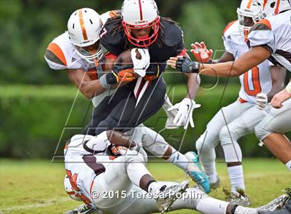 Thumbnail 1 in Mauldin @ Wade Hampton photogallery.