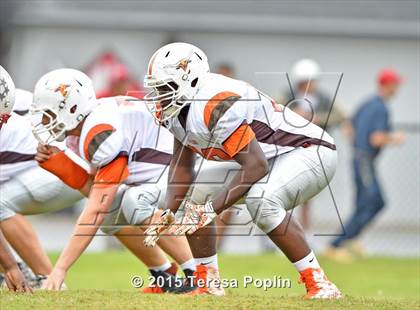 Thumbnail 1 in Mauldin @ Wade Hampton photogallery.