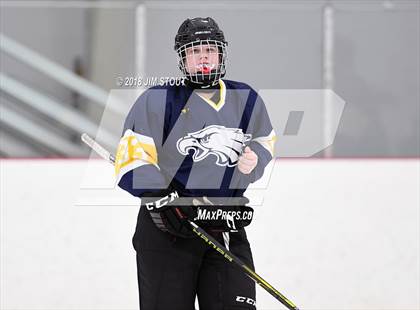 Thumbnail 2 in Mt. Everett @ Shepaug/Litch./Thom./Nonn. photogallery.