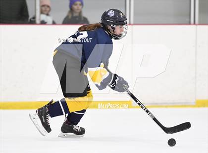 Thumbnail 3 in Mt. Everett @ Shepaug/Litch./Thom./Nonn. photogallery.