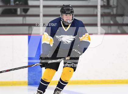 Thumbnail 3 in Mt. Everett @ Shepaug/Litch./Thom./Nonn. photogallery.