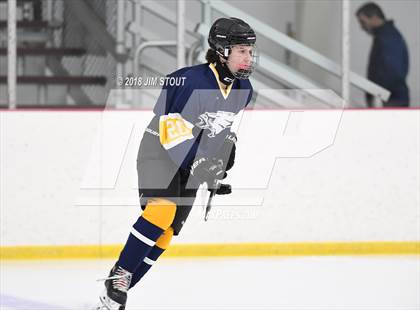 Thumbnail 3 in Mt. Everett @ Shepaug/Litch./Thom./Nonn. photogallery.