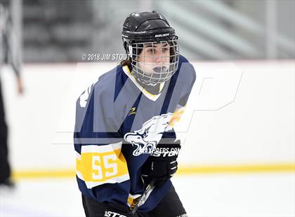 Thumbnail 3 in Mt. Everett @ Shepaug/Litch./Thom./Nonn. photogallery.