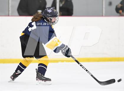 Thumbnail 3 in Mt. Everett @ Shepaug/Litch./Thom./Nonn. photogallery.