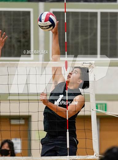 null - Photo 61