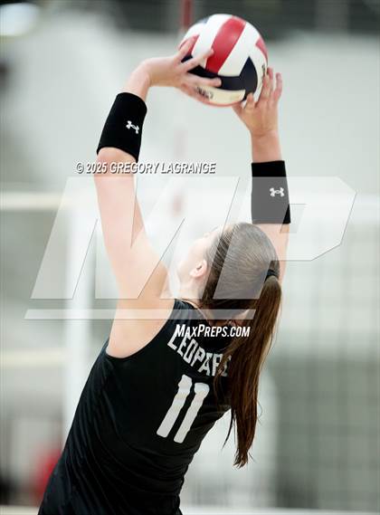 Thumbnail 1 in Lovejoy vs Wakeland (UIL5A Volleyball Area Playoff Division 2) photogallery.